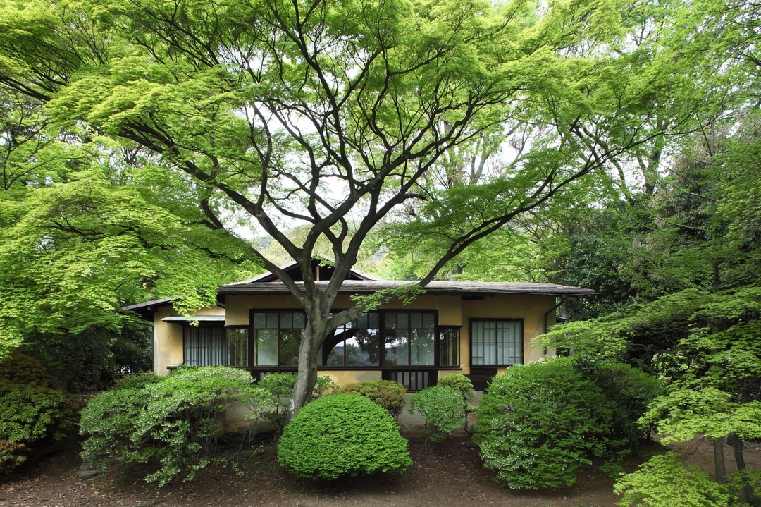 聴竹居 改修工事